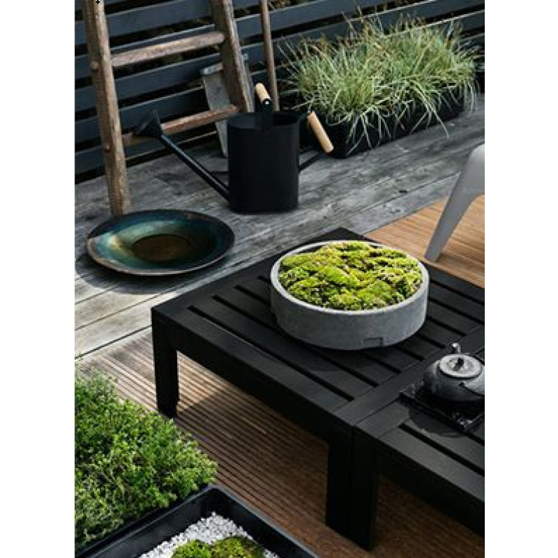 Антисептик для дерева концентрат Koopmans Kuprafung - NO (1 кг)