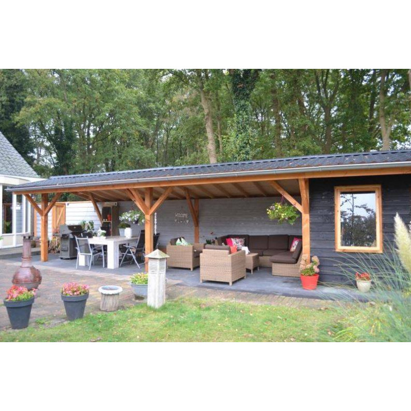 Антисептик для дерева концентрат Koopmans Kuprafung - NO (1 кг на розлив)