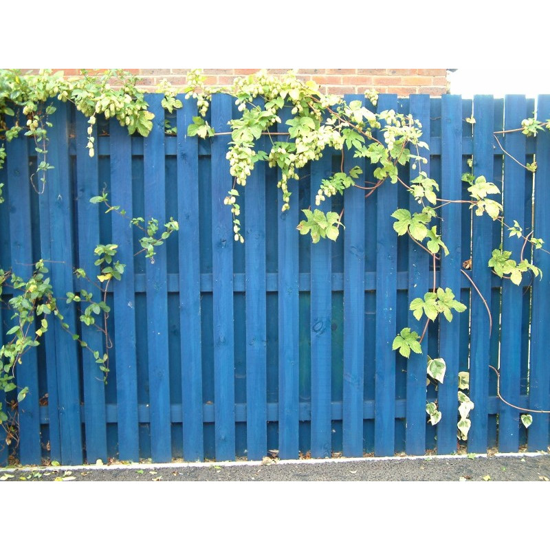 Лазур водна з біоцидним захистом Verinlegno Hybrid ProLasur 3in1 900 T2.01 синя (1 л)