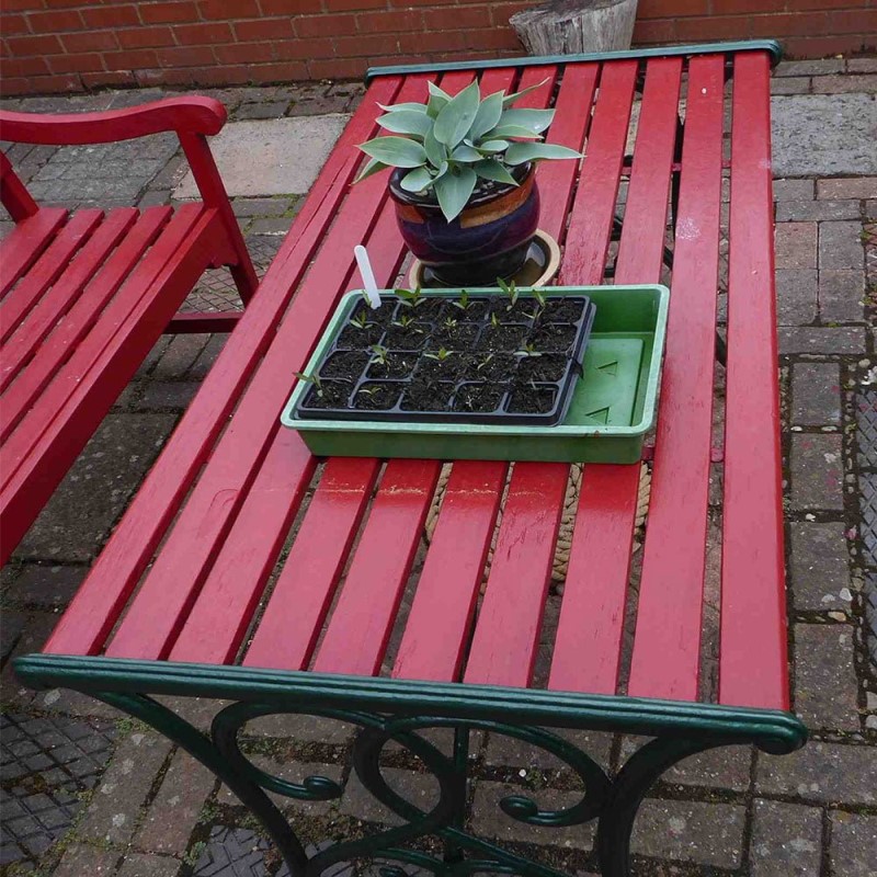 Лазур водна з біоцидним захистом Verinlegno Hybrid ProLasur 3in1 900 T6.10 червона (1 л)