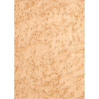 Шпон строганный Classic Veneer клен птичий глаз тангентал АВ 2550-2800 мм