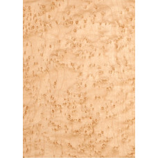 Шпон струганий Classic Veneer клен пташине око тангентал АВ 2550-2800 мм