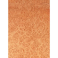 Шпон струганий Classic Veneer корінь мадрона золота тангентал А 2000 мм