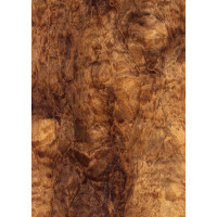 Шпон струганий Classic Veneer імбая (імбуя) помеле тангентал А 2550-2800 мм