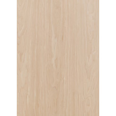 Шпон файн-лайн Classic Veneer Дуб Ріміні 2500x640 мм (DAR 69)